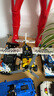 乐高（LEGO）积木拼装机械组系列42198 丛林飞机男孩儿童玩具生日礼物 实拍图
