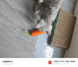 欢宠网猫玩具猫咪磨牙棒逗猫棒猫薄荷自嗨解闷耐咬神器猫猫小猫幼猫宠物 实拍图