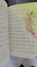 昆虫记注音版 法布尔著作 儿童文学 一二三年级课外阅读书必读世界经典文学少儿名著童话故事书 大语文系列 小学语文课外阅读经典丛书 实拍图
