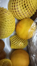 佳沛（zespri）新西兰  阳光金奇异果16粒礼盒经典果单果约 77-103g 水果 猕猴桃 实拍图