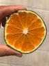 柏馋云南青皮蜜橘蜜桔薄皮桔子新鲜孕妇水果新鲜当季整箱 5斤特大果（65-70mm）净重4.5斤 实拍图