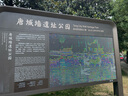 永兴坊 陕西油泼辣子230g辣椒红油辣子辣酱凉拌菜拌面下饭菜调味料 实拍图
