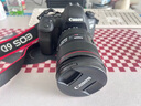 佳能（Canon）佳能6D2 全画幅单反数码相机  4K视频 高清直播 旅行婚礼拍照 高像素高性能相机 扫街旅拍套装  实拍图