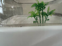 最萌乌龟缸家用造景创意新款亚克力带晒台生态小型龟盆鱼缸乌龟饲养缸 小号【21.5*21.5*14】送2个椰子树 实拍图