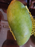 京鲜生 广西生吃大青芒大果8.5斤装 单果400g起 生鲜水果源头直发 实拍图