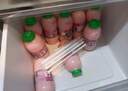 李子园【成毅代言】甜牛奶乳饮料朱古力味225ml*20瓶儿童早餐奶黑五 实拍图
