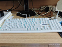 狼途LT104机械键盘电竞游戏办公键盘三模有线/蓝牙/无线键鼠套装104键全尺寸客制化平板电脑笔记本键盘 皓月冰蓝光【有线Logo屏】银轴单光 实拍图