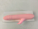 伊珞（EROCOME）震动棒女性生理解压情趣玩具自慰器按摩电动伸缩成人用品专用小狮 实拍图