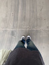 匡威（Converse）官方 Run Star Hike低帮帆布流星厚底鞋黑色168816C 黑色/168816C 36 实拍图
