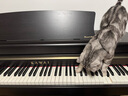 卡瓦依（KAWAI）电钢琴木质键盘重锤88键盘CA立式高端专业考级艺术家演奏钢琴乐器 CA33檀木色+琴凳礼包 实拍图