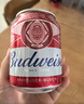 百威啤酒mini红罐淡色拉格255ml*24听小罐整箱装浓郁麦香 实拍图