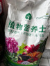 漫生活50L进口营养土通用型 泥炭土养花土种菜土园艺种植土花卉有机土壤 实拍图