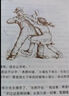 【包邮 多仓速发】夏洛的网 上海译文出版社 怀特经典三部曲 夏洛特的网 三年级推荐课外阅读书 实拍图