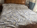 富安娜 星琦花园 100%蚕丝被子 抑菌印花四季被 4.6斤 230*229cm 紫色 实拍图