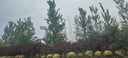 Smorss【2片全屏大视野】适用苹果16E钢化膜iphone13/14/13Pro通用手机膜全屏覆盖高清防摔防刮抗指纹 实拍图
