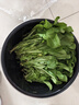 绿食者新鲜荠菜500g 农家新鲜蔬菜 香荠菜 馄饨饺子馅食材 500g 实拍图