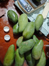 三亚芒果  海南芒果新鲜水果生鲜整箱当季大青皮芒 热带孕妇芒果 10斤装(净果8.5-9斤)单果300g+ 实拍图