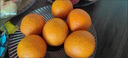 【热销】湖北秭归脐橙鲜果上市 带箱9斤65-70mm 实拍图