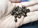 sinloy辛鹿  意式特浓咖啡豆 炭烧拼配 无酸油脂王 500g 实拍图