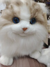 科迈特高仿趴姿布偶猫毛绒玩具玩偶娃娃公仔女孩生日礼物儿童学生女朋友 实拍图