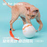 all for paws恐龙蛋不倒翁 自动逗猫玩具电动逗猫棒 猫咪玩具 耐咬自动旋转 实拍图