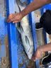 威拓森大物线组成品全套青鱼草鱼鲢鳙巨物专用鱼线主线 8.1米8号3卷 实拍图