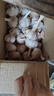 千封河南2025新蒜新干蒜多瓣蒜大蒜头紫皮大蒜批发 大蒜特大果 5斤 实拍图