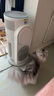 霍尼韦尔（Honeywell）【papi酱同款】宠物猫用空气净化器吸猫毛除甲醛过敏源杀菌消毒霍哈宝H-Cat Hub家电国家补贴 实拍图