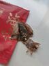 北海印象【北海特产】墨鱼干尝鲜50g淡晒干墨鱼煲汤滋补干货源头直发包邮 实拍图