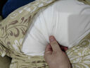 博洋家纺枕头芯可水洗全棉刺绣单人软枕芯高枕单个装 莲仪48*74cm 实拍图