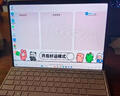 微软（Microsoft）Surface Pro第11版 二合一笔记本电脑 国家政府补贴20% 轻薄本 AI PC 骁龙X Plus 16G 512G 沙漫金 实拍图