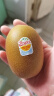 佳沛（zespri）新西兰金果巨大果22粒原箱猕猴桃单果约144-175g端午节水果礼盒 实拍图