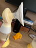 美德乐（Medela）吸奶器电动吸奶器双边吸乳器母乳集奶器挤奶器丝韵·翼舒悦版 实拍图