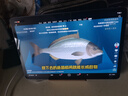 HUAWEI MatePad 标准版华为平板电脑11.5英寸120Hz护眼全面屏学生学习娱乐平板8+128GB 深空灰 实拍图