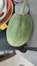 正宗脆甜西州蜜哈密瓜现摘头茬蜜瓜新鲜当季水果现摘水果 5斤带箱(净重4-5斤)2-3个 精选装 实拍图