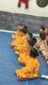 南同四海南京同仁堂五味子茶搭五味子中药材颗粒野外生长北五味子泡酒100g 实拍图