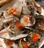 遇上鲜 舟山红膏呛蟹 海鲜 生腌梭子蟹醉蟹 净含量4-6两/只 源头直发 实拍图