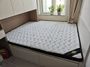 香榭柏兰 椰棕床垫棕垫硬棕榈床垫子 天然乳胶榻榻米床垫定做定制 6CM厚（防螨混纺面料+3CM椰棕） 1.8米*1.9米 实拍图