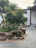 得宝（TEMPO）湿巾 冰川纯水80片*1包抽取式 卫生湿巾 湿纸巾 温和不刺激 实拍图