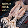 美加佳 鲜冻整只大鱿鱼（2-3只） 净重550g 整条鱿鱼 深海捕捞 海鲜水产 实拍图