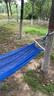 户外吊床防侧翻加厚透气冰丝室内单双人加宽秋千成人儿童野营 带棍冰丝蓝色 实拍图