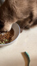 凯锐思天然猫粮成猫粮鱼肉蓝猫全价猫粮 【新客户尝】 鱼肉味-1斤装 实拍图