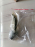 云峰海瑞水草活体懒人草鱼缸造景活体水草套餐鱼缸水草有茎类中后景真水草 【实惠】-绿菊（5只一组） 实拍图