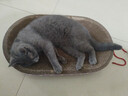 【京东物流】猫抓板磨爪猫窝一体耐磨不掉屑超大号猫玩具猫咪用品 椭圆大号+猫薄荷 实拍图
