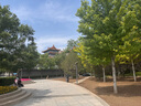 鲍勃红磨坊（Bob's Red Mill）特厚燕麦片907克  全谷物代餐燕麦片 实拍图