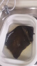 方家铺子 中华老字号 精选海带头250g  海带根部30cm 特厚叶片 凉拌煲汤 实拍图