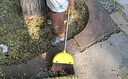 五月花小黄鸭儿童迷你扫把簸箕套装宝宝家务清洁玩具小孩过家家扫地扫帚 实拍图