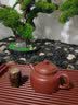 金福象纯手工紫砂茶壶宜兴原矿家用泡茶壶茶具套装朱泥德钟 【纯铜盖置】+德钟 250ml 实拍图