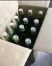 竹叶青酒 露酒 玻竹 45度 475mL*12 整箱 山西杏花村汾酒 实拍图