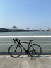 喜德盛【吴磊推荐】公路自行车RC200成人车14速变速车 黑银700C*510MM 实拍图